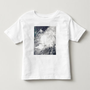Tropical Storm Hanna Toddler T-shirt
