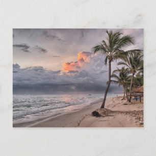 Tropical Storm Incoming Postcard
