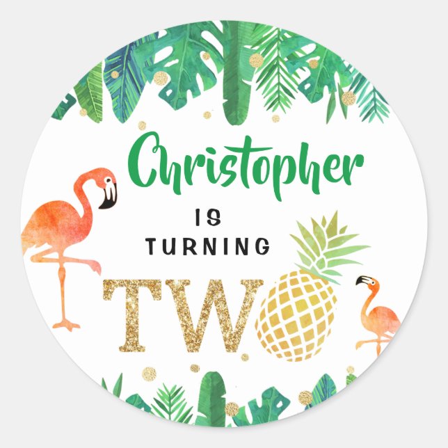 Tropical Summer Beach Luau Boys 2nd Birthday Classic Round Sticker (Front)
