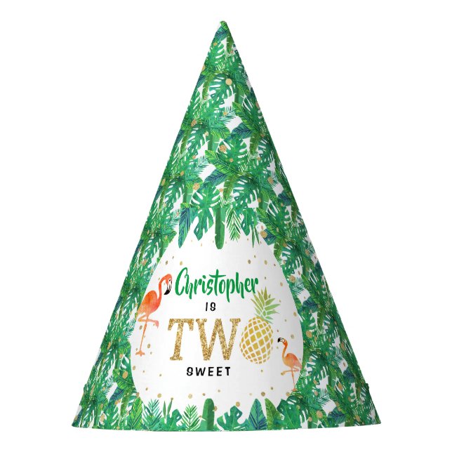 Tropical Summer Beach Luau Boys 2nd Birthday Party Hat (Front)