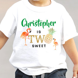 Tropical Summer Beach Luau Boys 2nd Birthday Toddler T-shirt