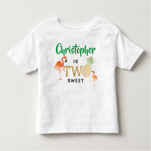 Tropical Summer Beach Luau Boys 2nd Birthday Toddler T-shirt