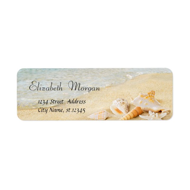 Tropical Summer Beach,Sand,Seashells (Front)