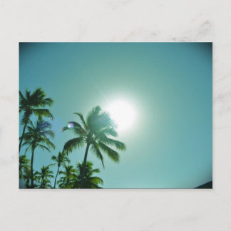 Tropical Sun Postcard