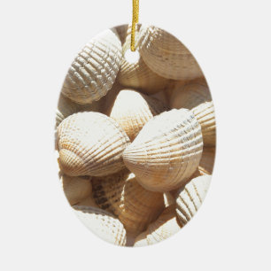 Tropical Sunny Exotic Sea Shells Ceramic Ornament