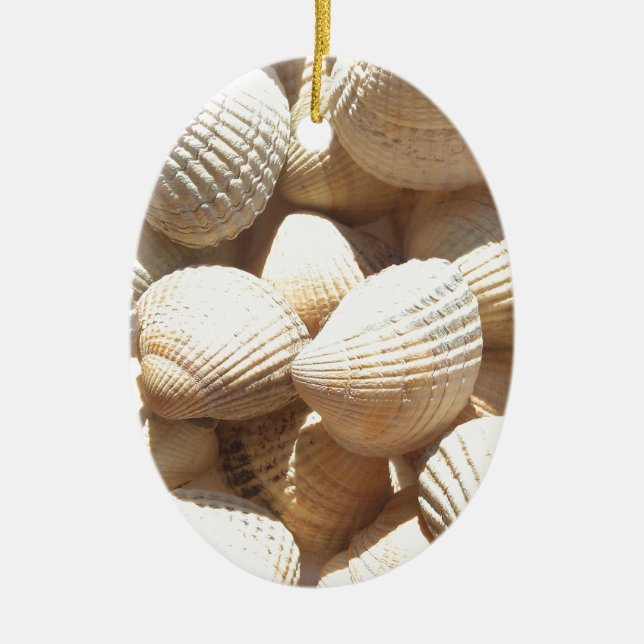 Tropical Sunny Exotic Sea Shells Ceramic Ornament (Front)