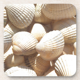 Tropical Sunny Exotic Sea Shells Coaster