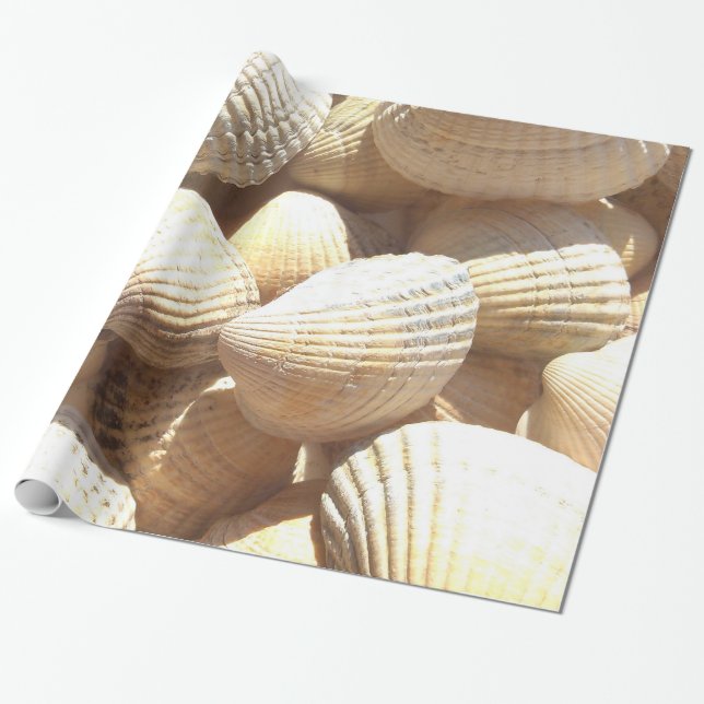Tropical Sunny Exotic Sea Shells Wrapping Paper (Unrolled)