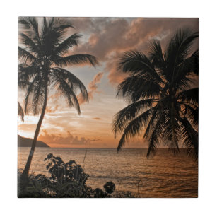 Tropical Sunset Beach Palm Trees Tile