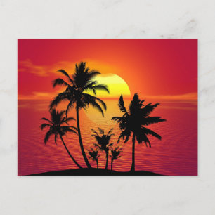 Tropical sunset, beautiful illustration, postcard