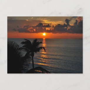 Tropical Sunset (Cancun) landscape photograph Postcard