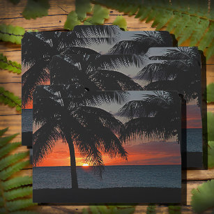 Tropical Sunset Palm Trees Sea USVI Caribbean File Folder