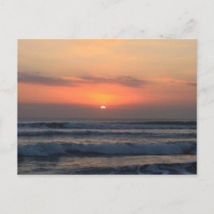 Tropical sunset postcard