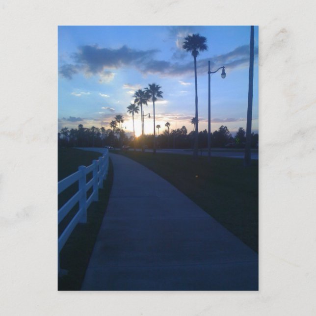 Tropical Sunset Postcard (Front)