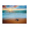 Tropical Sunset Sea Turtle Sandy Beach