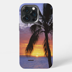 Tropical Sunset with Palm Tree Case-Mate iPhone Ca 13 Pro Case