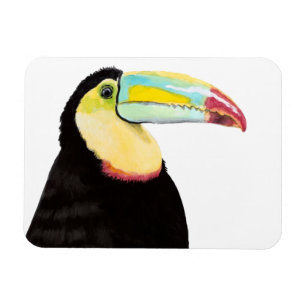 Tropical Toucan Bird Magnet