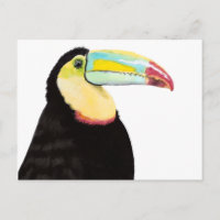 Tropical Toucan Bird