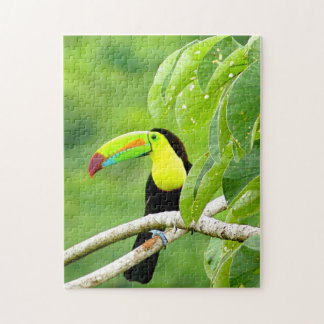 Tropical Toucan Puzzle