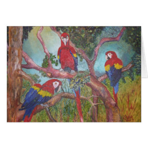 Tropical Trio