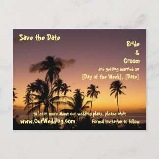 TROPICAL TWILIGHT ANNOUNCEMENT POSTCARD