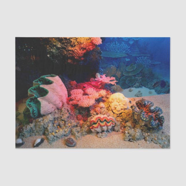 Tropical Undersea Coral Clam Seashells Tissue Paper (Front)