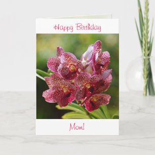 Tropical Vanda Orchid Birthday Card