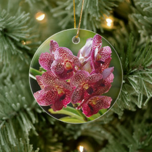Tropical Vanda Orchid Cluster Ceramic Ornament