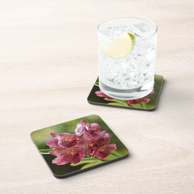 Tropical Vanda Orchid Cluster Coaster (Right Side)