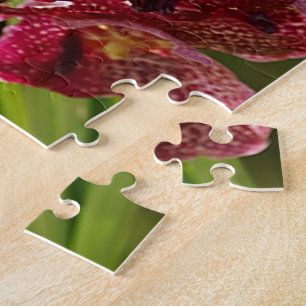 Tropical Vanda Orchid Cluster Jigsaw Puzzle