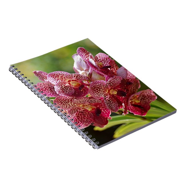 Tropical Vanda Orchid Cluster Notebook (Right Side)