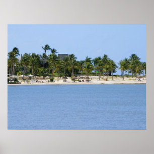 Tropical view poster