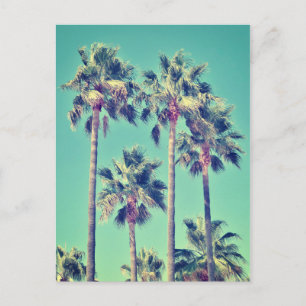 Tropical Vintage Palm Trees Postcard