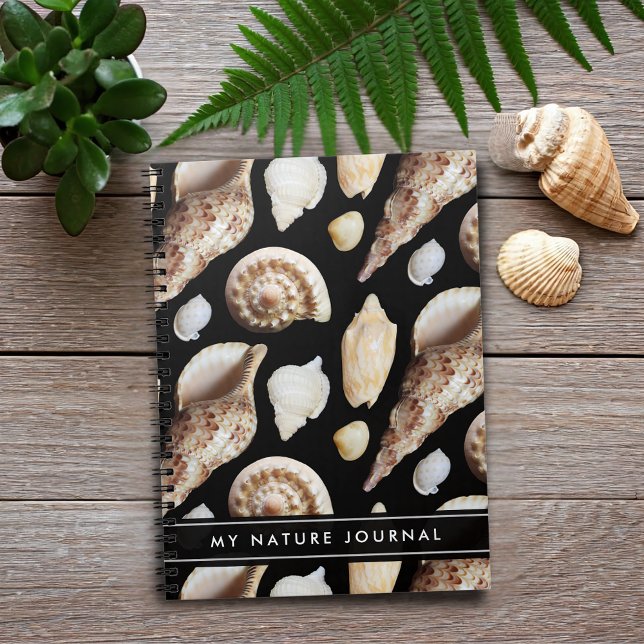 Tropical Vintage Seashells of Southeast Asia Notebook (Tropical Vintage Seashells of Southeast Asia Journal Cover Photo)
