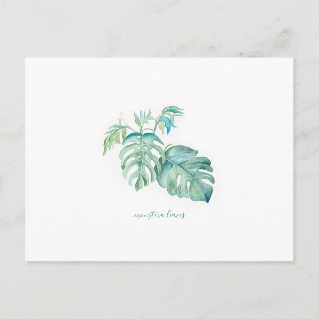 Tropical Watercolor Monstera Leaves Holiday Postcard (Front)