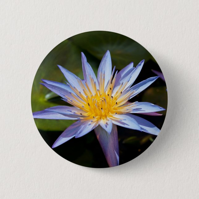 Tropical Waterlily Floral Botanical Design 2 Inch Round Button (Front)