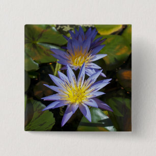 Tropical Waterlily Floral Botanical Design 2 Inch Square Button