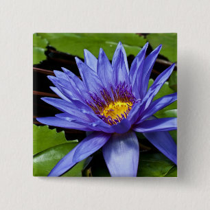 Tropical Waterlily Floral Botanical Design 2 Inch Square Button
