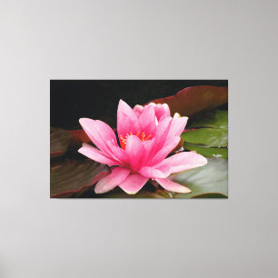 Tropical Waterlily Floral Botanical Design Canvas Print