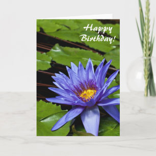 Tropical Waterlily Floral Botanical Design Card