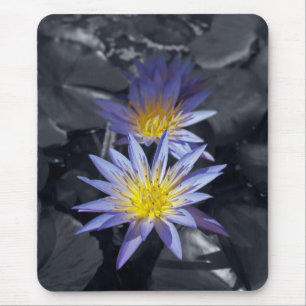 Tropical Waterlily Floral Botanical Design Mouse Pad