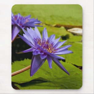 Tropical Waterlily Floral Botanical Design Mouse Pad