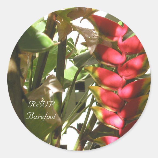Tropical Wedding Flowers Custom Envelope Seals (Front)