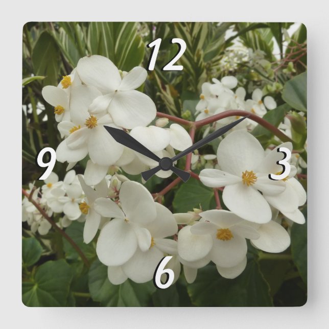 Tropical White Begonia Floral Square Wall Clock (Front)