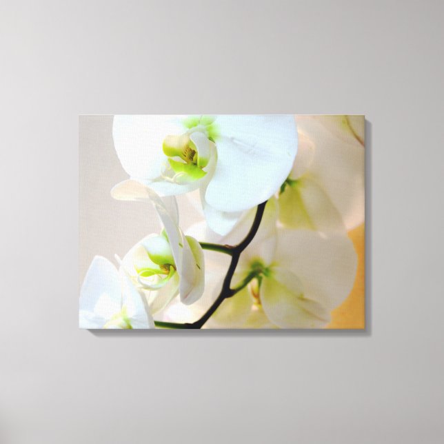 Tropical White Orchids Number Two Wrapped Canvas (Front)
