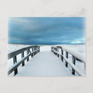 Tropical Winter Postcard