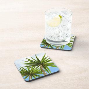 Tropical Yucca Palm Leaves Painting Effect Photo Coaster