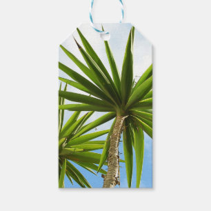 Tropical Yucca Palm Leaves Painting Effect Photo Gift Tags