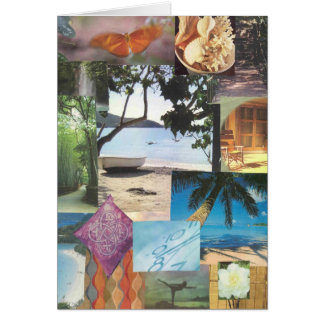 Tropics