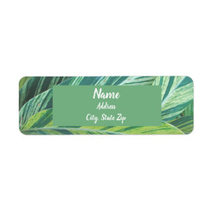 Tropiques de feuillage vert rayé Feuilles tropicau